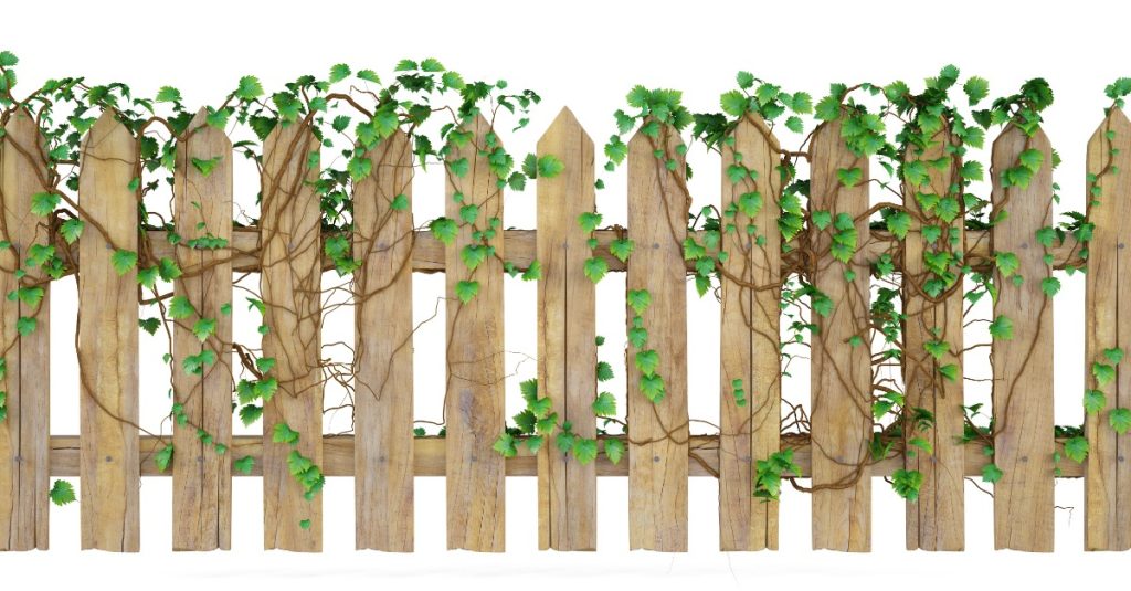 Climbing plant trellis