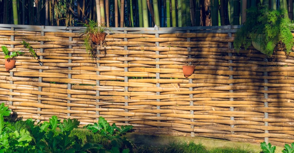 Bamboo fencing