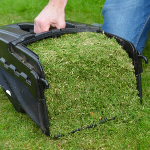 Cobra 43cm Electric Lawnmower Kit - GTRM43 - Image 11