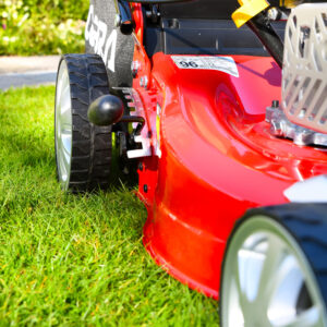 Cobra 46cm Petrol Lawnmower - M46CVX - Image 2